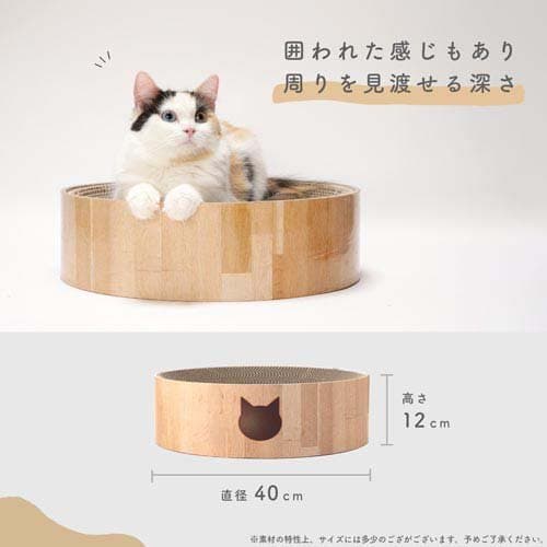 猫壱 バリバリボウル 猫柄(2個セット)【猫壱】 thumbnail 3
