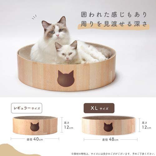 猫壱 バリバリボウルXL 猫柄(2個セット)【猫壱】 thumbnail 3