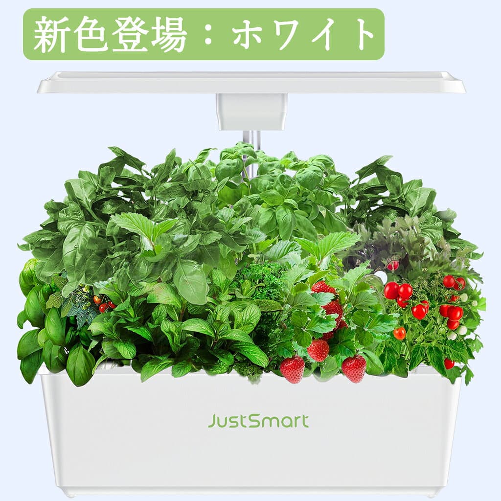 限定ポイントUP 再入荷お試し価格 楽天ランキング1位常連 水耕栽培 キット LED 野菜栽培キット 室内 静か 家庭菜園 植木鉢 プランター おしゃれ LEDライト付 観葉植物 スポンジ タイマー機能付 循環式ポンプ ガーデニング 植物育成 育苗キット thumbnail 3