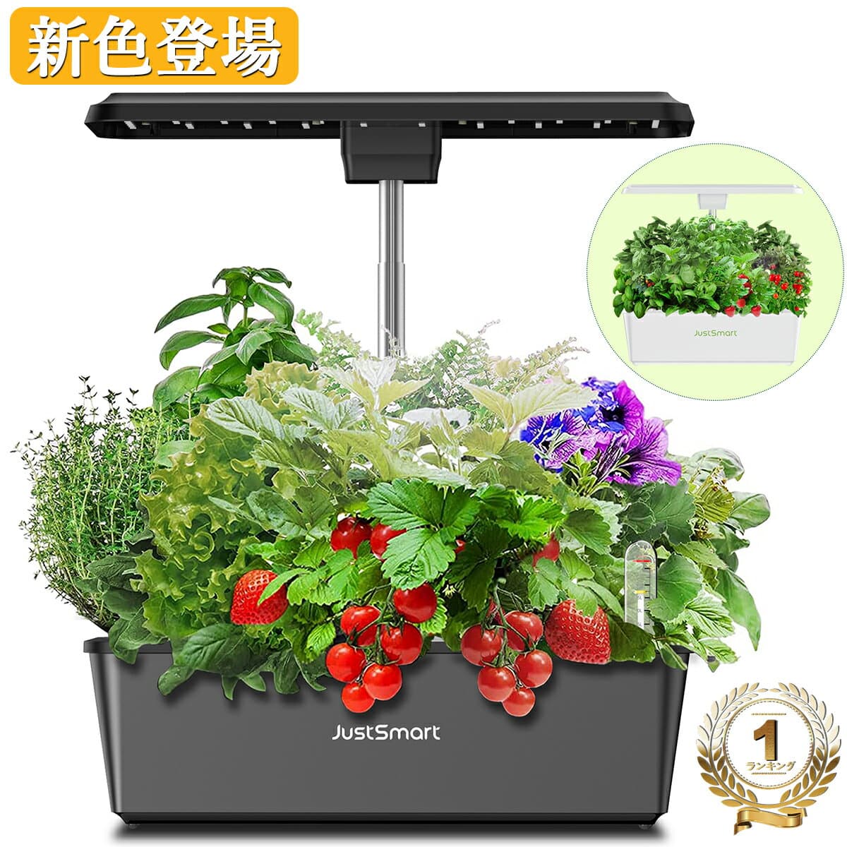 限定ポイントUP 再入荷お試し価格 楽天ランキング1位常連 水耕栽培 キット LED 野菜栽培キット 室内 静か 家庭菜園 植木鉢 プランター おしゃれ LEDライト付 観葉植物 スポンジ タイマー機能付 循環式ポンプ ガーデニング 植物育成 育苗キット