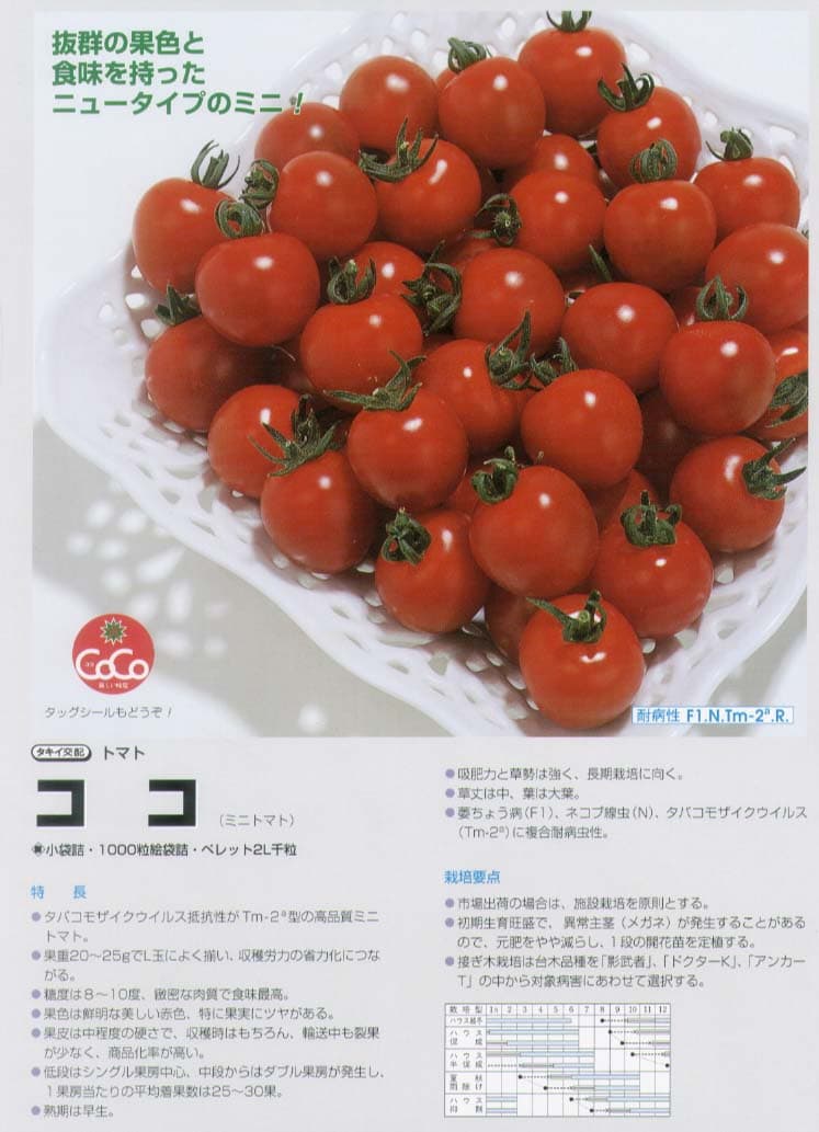 【ミニトマト】CFココ〔タキイ交配〕（登録品種名：TTM043）/小袋（16粒）