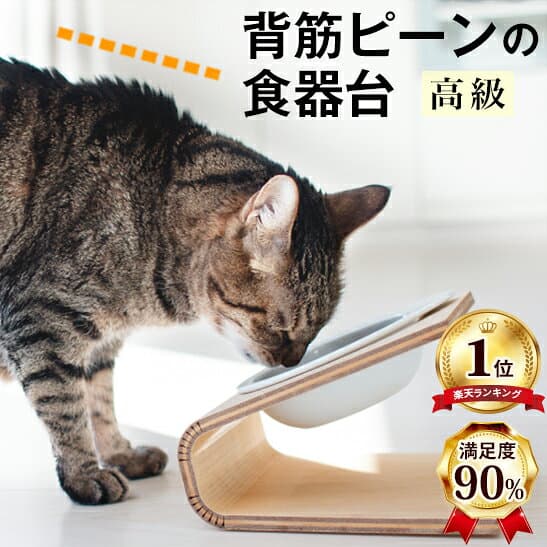 ＼P10倍★チワワレースでク−ポン進呈／【獣医師推奨】楽天1位 犬 猫 小型犬 ペット 食器台 フードボウル フードスタンド 食器スタンド 陶器 傾斜のある食器台 (S、L) 高さがある 高さ調整 食べやすい こぼれない 餌入れ 木製 スタンド 猫用 食器 皿 餌入 えさ ネコボウル thumbnail 2