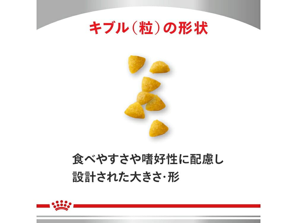 ロイヤルカナン 療法食 犬用 スキンケア パピー 小型犬用S 3kg thumbnail 2
