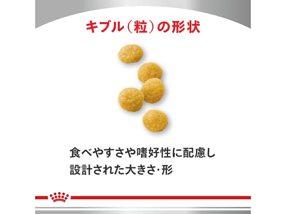 ロイヤルカナン 犬用 療法食 スキンケア小型犬用S 1kg thumbnail 2