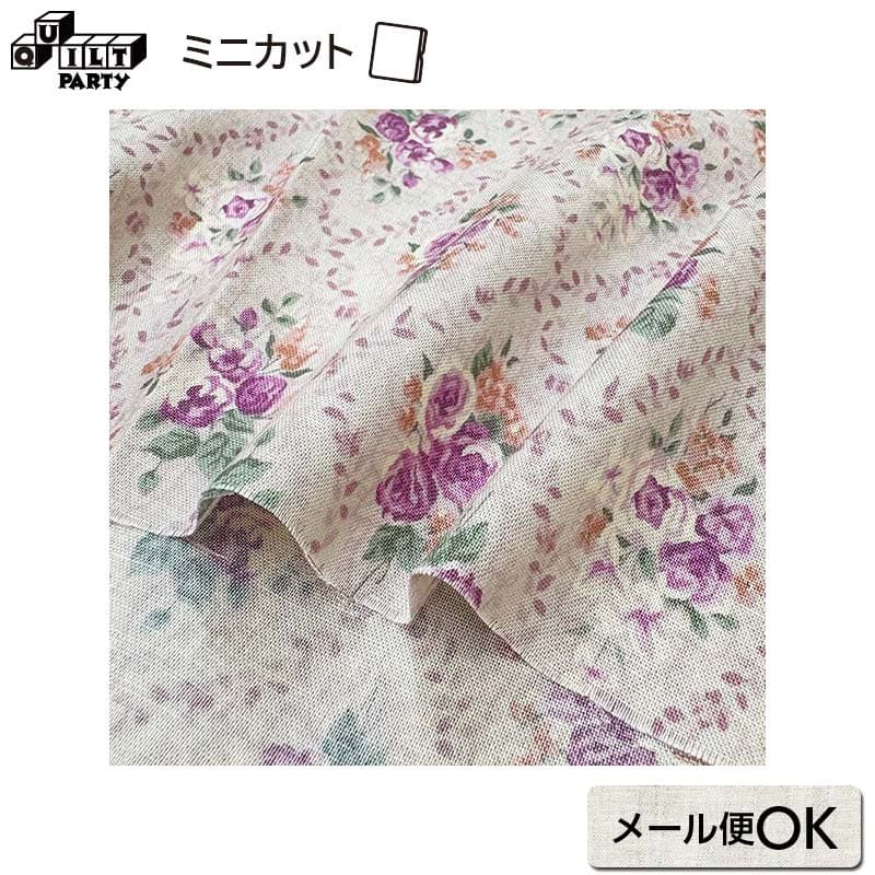 2025-06-A04 ミニカット