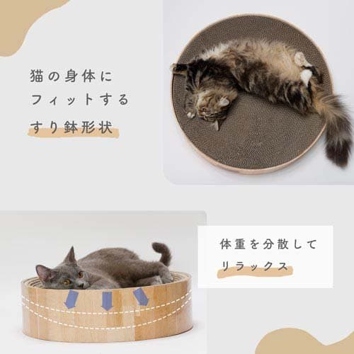 猫壱 バリバリボウルXL 猫柄(1個)【猫壱】 thumbnail 2