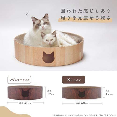 猫壱 バリバリボウルXL 猫柄ダークブラウン(1個)【猫壱】 thumbnail 3