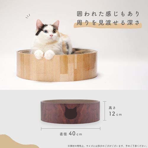 猫壱 バリバリボウル 猫柄 ダークブラウン(1個)【猫壱】 thumbnail 3
