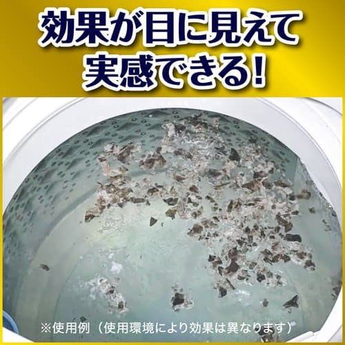 ガッツリ剥がす洗たく槽カビキラー(250g×10セット)【カビキラー】 thumbnail 2