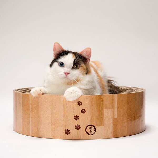 猫壱 バリバリボウル 猫柄 ライトブラウン ダンボール 爪とぎ 爪研ぎ 猫用 猫用品 ねこ ネコ 猫の爪とぎ つめとぎ 爪みがき すり鉢型 ペット用 お手入れ 【送料無料】 thumbnail 2