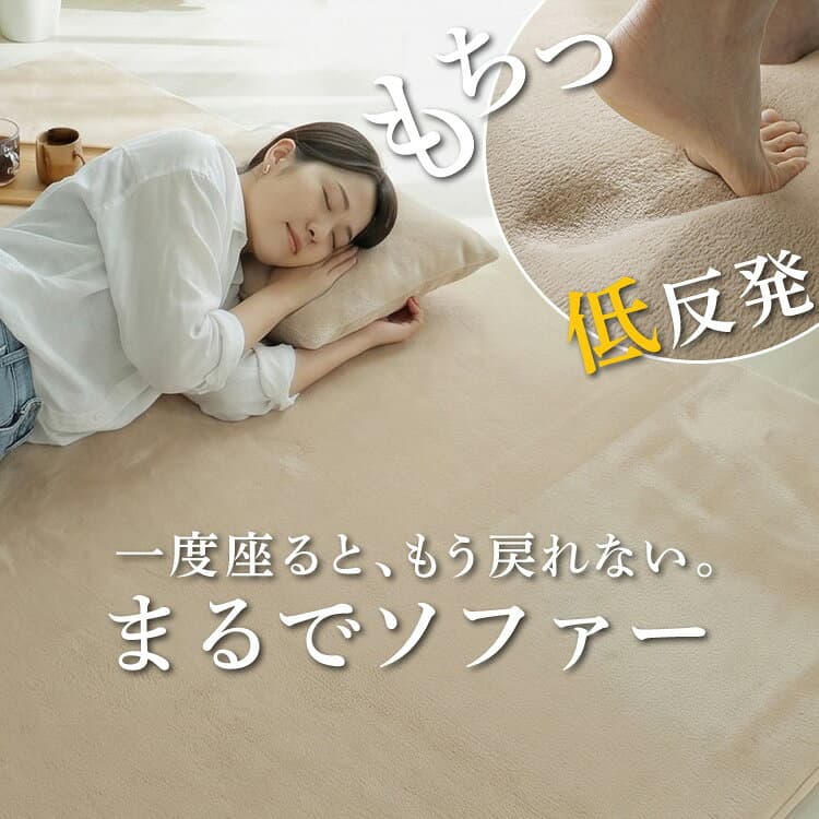 【10%クーポン★8日まで】 楽天1位 ラグ ラグマット はっ水 洗える カーペット 低反発 厚手 極厚 オールシーズン ラグカーペット 絨毯 ペット 小さめ 大きめ 北欧 オシャレ リビング 冬用 冬ラグ ふかふか ホリデープラス オールシーズン 床暖房対応 thumbnail 2