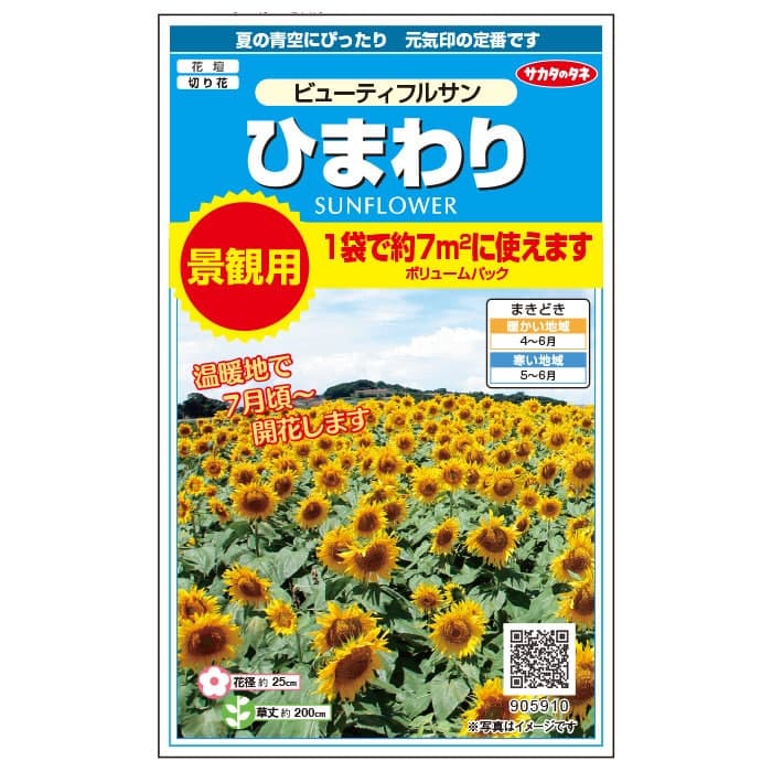 【サカタのタネ公式】 ヒマワリ ビューティフルサン 花 種 約170粒 小袋 春まき 夏イエロー 鉢植え簡単 初心者向き 育てやすいガーデニング 園芸 向日葵 種子 タネ たね
