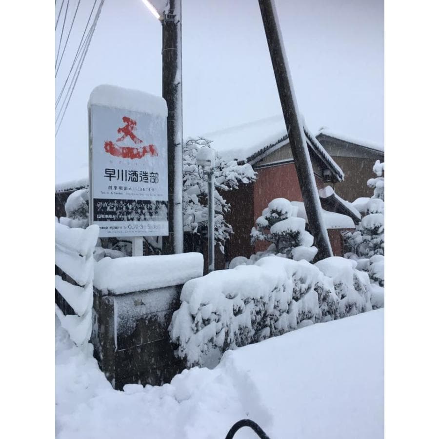 米の旨味よい日本酒3本セット(早川酒造部天一 純米酒 (三重県) 桃川 純米酒 (青森県) 南部美人 特別純米酒 (岩手県)) 1800ml×3本 thumbnail 3