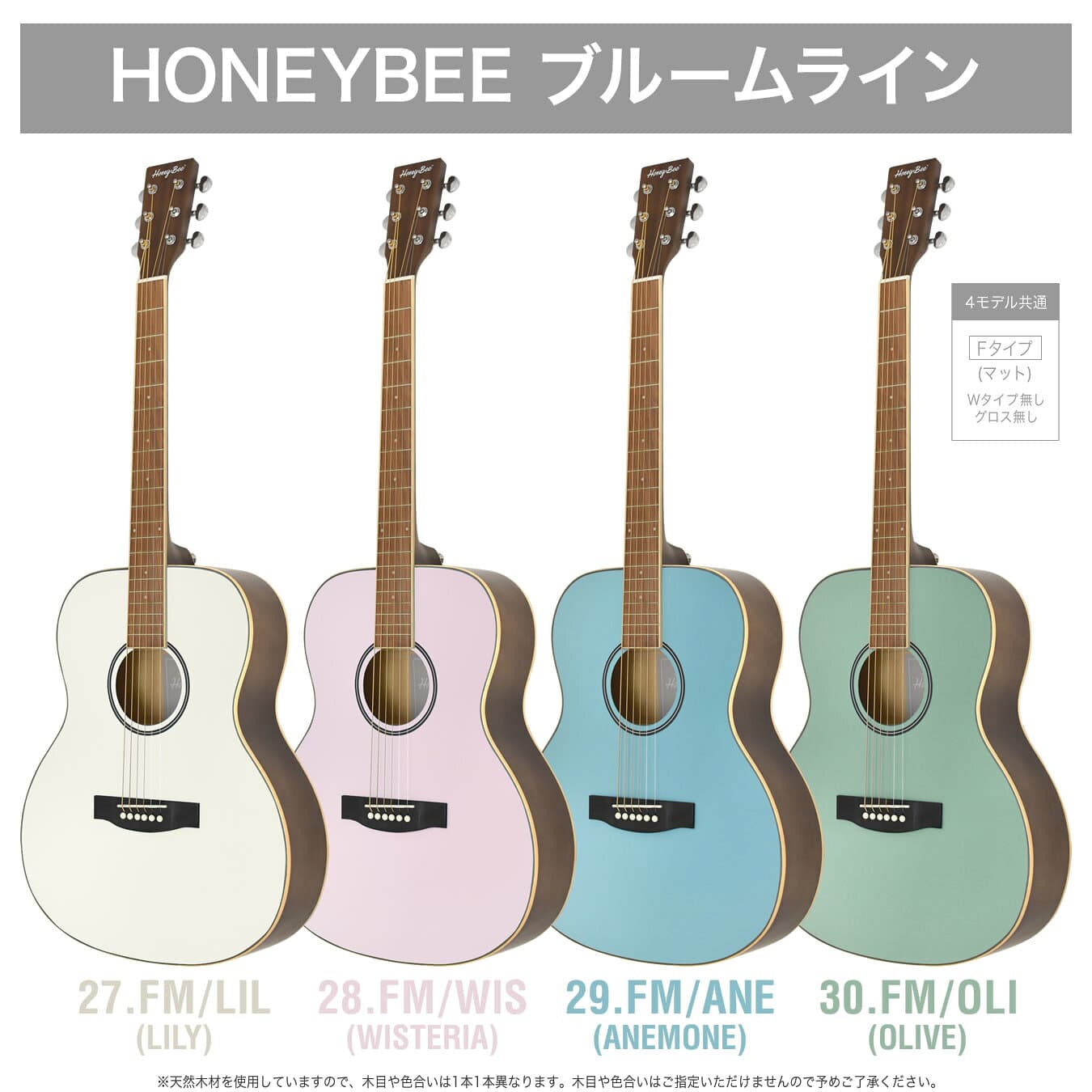 アコースティックギター 16点 初心者セット HONEY BEE W-15/F-15 【 アコギ ギター 入門 W15 F15 プレゼントにおすすめ 】【大型荷物】【5と0のつく日は当店ポイント5倍！】 thumbnail 3