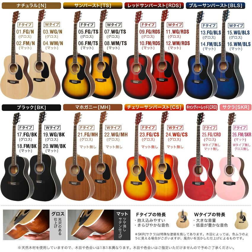 アコースティックギター 16点 初心者セット HONEY BEE W-15/F-15 【 アコギ ギター 入門 W15 F15 プレゼントにおすすめ 】【大型荷物】【5と0のつく日は当店ポイント5倍！】 thumbnail 2