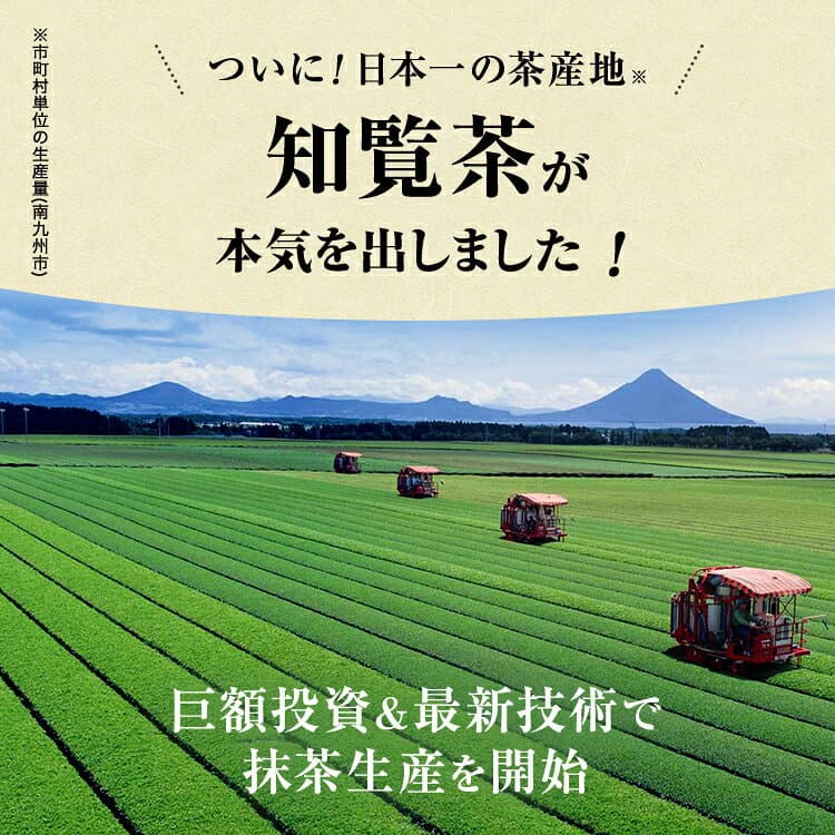 【 特価 】知覧 抹茶 パウダー 120g/200g 鹿児島県 知覧町産 春摘み抹茶120g or 初夏摘み抹茶 200g【 知覧茶 粉末 業務用 ちらん まっちゃ 薄茶 裏千家 表千家 京都 宇治 抹茶 に負けない美味しさ MATCHA 】【 無 糖 】 thumbnail 3