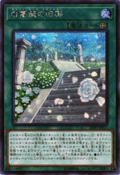【中古】遊戯王 20PP-JP011 白薔薇の回廊 (日本語版 シークレットレア) プレミアムパック PREMIUM PACK 2020