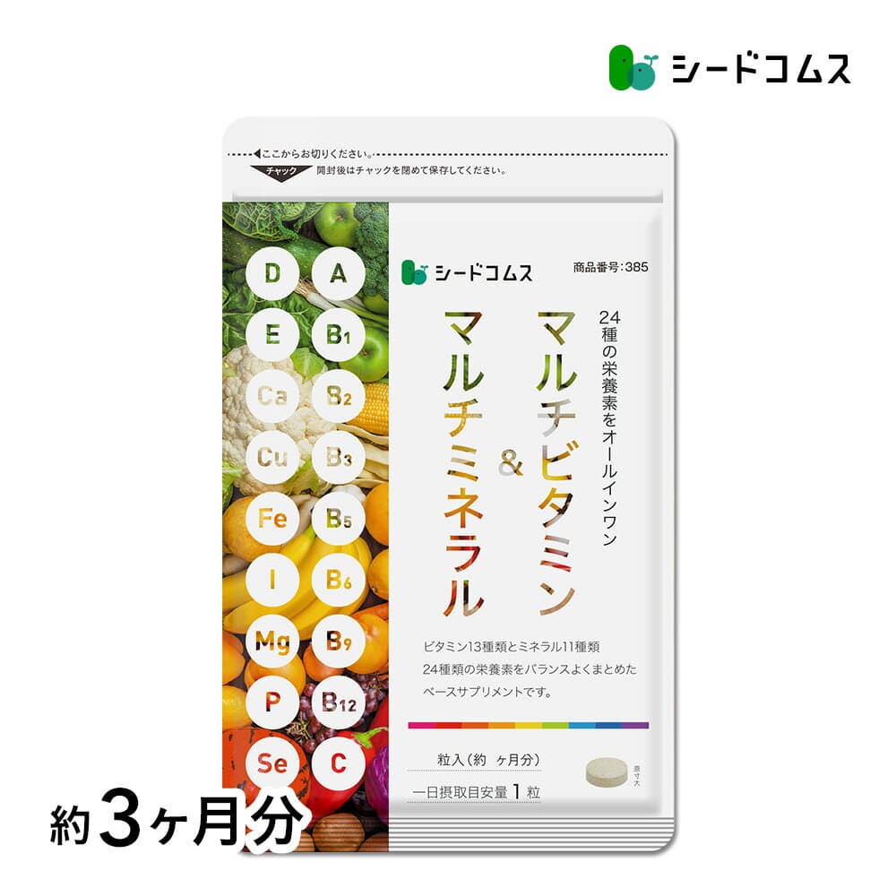 マルチビタミン＆マルチミネラル　約3ヶ月分 送料無料 サプリ 健康 美容 ビタミンA ビタミンB ビタミンC ビタミンD ビタミンE 葉酸 ナイアシン ミネラル 鉄 亜鉛 カルシウム マグネシウム 銅 ヨウ素 マルチサプリ — 1/3