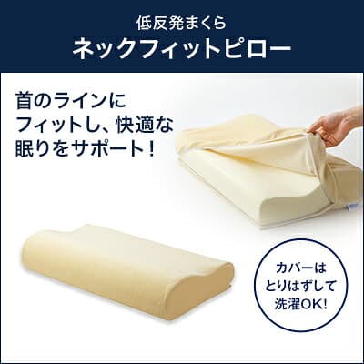 【公式】返品保証付 トゥルースリーパープレミアリッチpr.3正規品 シングル セミダブル ダブル クイーン 低反発 高反発 日本製 寝具 5cm 人気 オーバーレイマットレス トッパー 敷布団 敷き布団 thumbnail 3