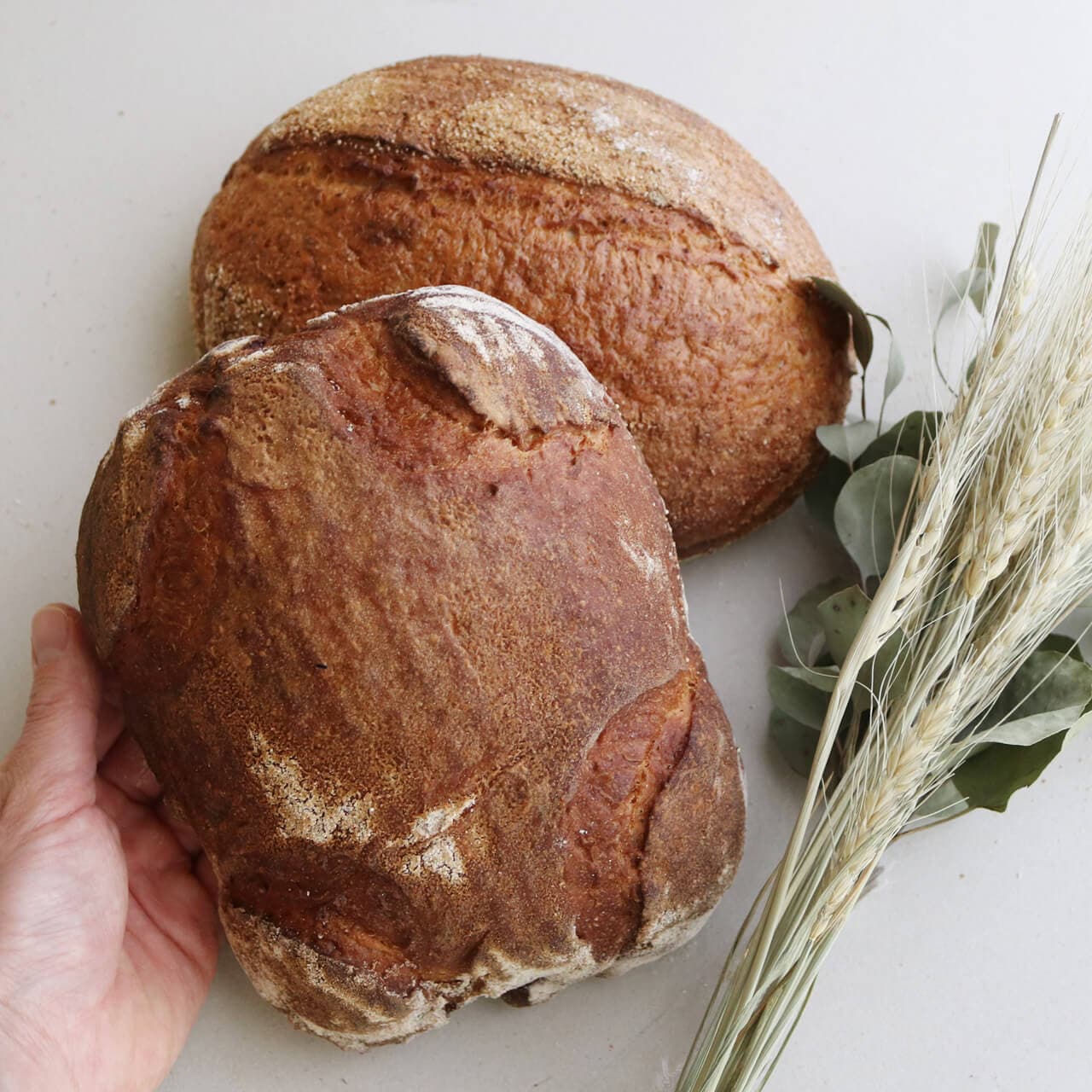 【 冷蔵・チルド便 】花七曜のカンパーニュセット ＊ 井上さんの牡丹そば粉 と ライ麦・全粒粉 ＊ 上富良野産糀(こうじ)と北海道産小麦 の素朴な パン ♪ / 北海道産 国産 手作り 贈り物 ギフト 美味しい