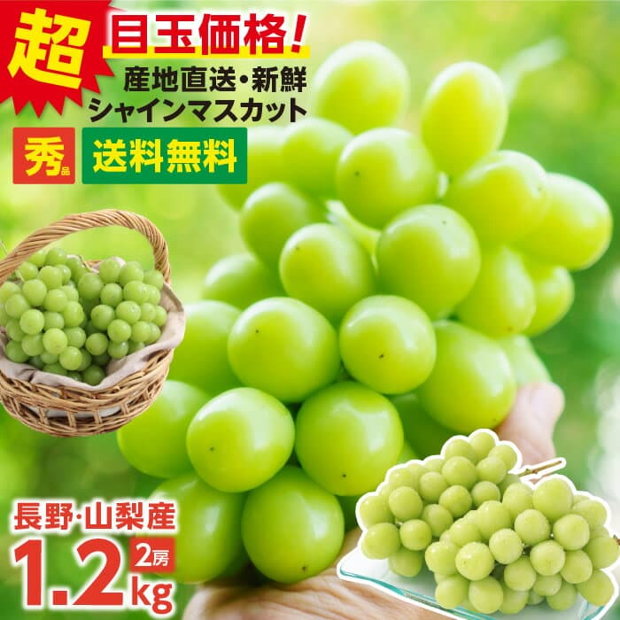 【即日出荷】＼楽天グルメ大賞受賞／ シャインマスカット ぶどう 秀品 1.2kg 2房 送料無料 山梨 長野産 産地厳選 ギフト 大粒 種なし 皮ごと食べられる 大房 1房あたり約600g | ブドウ マスカット 高糖度 フルーツ 果物 プレゼント 甘い お取り寄せ 贈答 2026