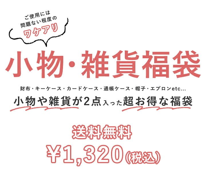 【99%offクーポン】【訳あり】福袋 2026 小物 雑貨2点セット セール わけあり 福袋 レディース メンズ ハッピーバッグ ラッキーバッグ 財布 長財布 キーケース 名刺入れ カードケース ポイントカード IDカードケース 本革 フェイクレザー スタイルオンバック thumbnail 2