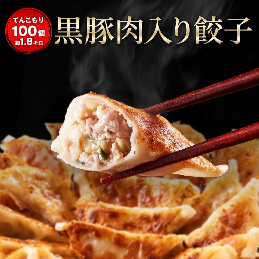 【エントリーでポイント最大20倍！49%OFFクーポン】【ショップ・ザ・イヤー2024 受賞】【月間100万個以上完売】 黒豚肉入り餃子100個 1.9キロ 一龍堂 餃子 ぎょうざ ギョウザ ギョーザ 生餃子 冷凍餃子 冷凍生餃子 冷凍食品 送料無料 国産豚肉