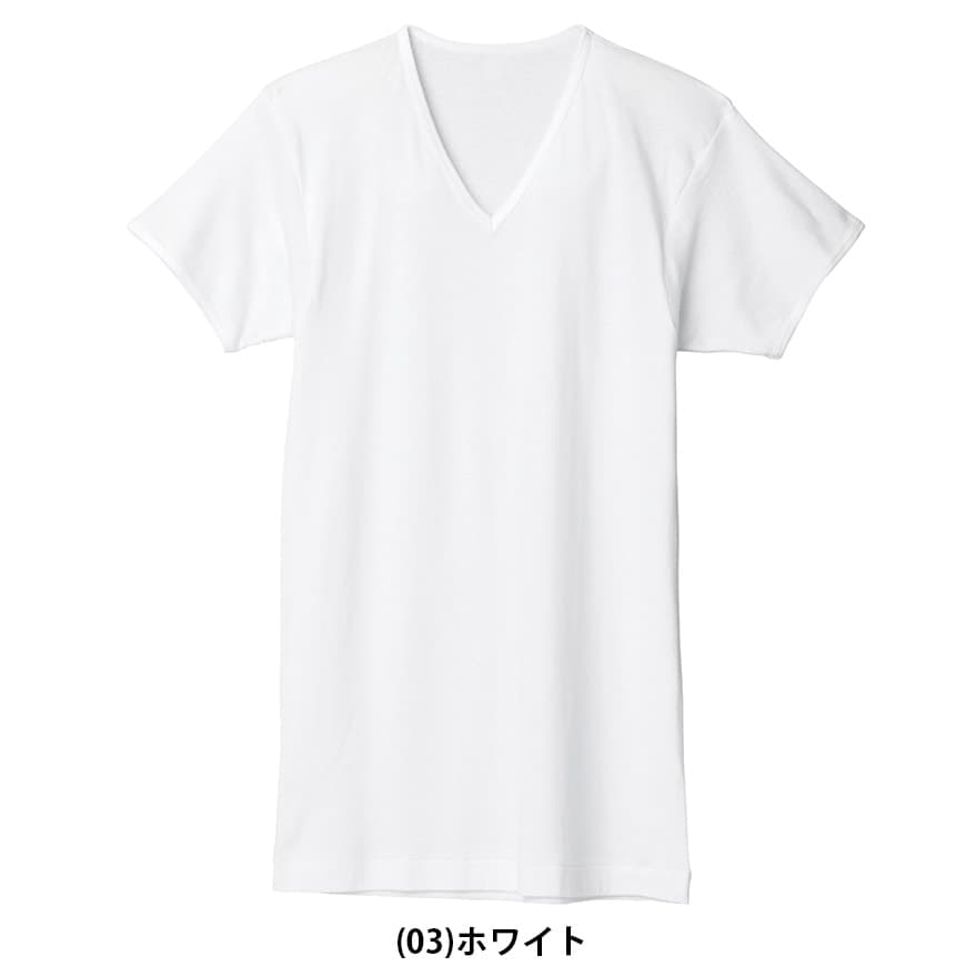 グンゼ 綿100% 肌着 メンズ 半袖 インナーシャツ V首 2枚組 S〜3L 白 無地 コットン vネック セット tシャツ アンダーウェア インナー 下着 男性 紳士 大きいサイズ thumbnail 3