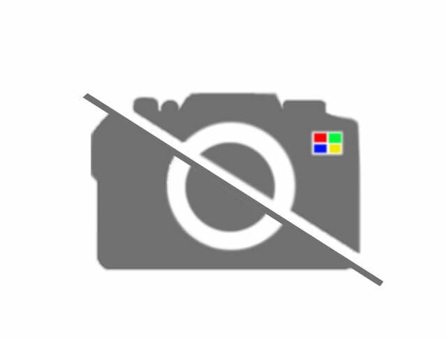 ルーフドリップサイドフィニッシュモールディングFRLHのみ 75552-B4010 ラッシュ用 トヨタ純正部品 m111m