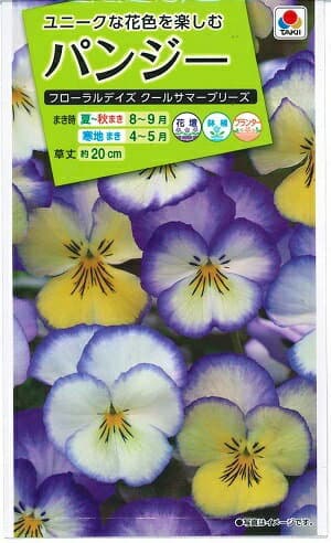 花種子 パンジ−「フロ−ラルデイズ ク−ルサマ−ブリ−ズ」 30粒（タキイ種苗）【送料込み】 ビオラ 菫 すみれ 三色菫 さんしきすみれ 遊蝶花 ゆうちょうか 胡蝶草 こちょうそう FPAA43