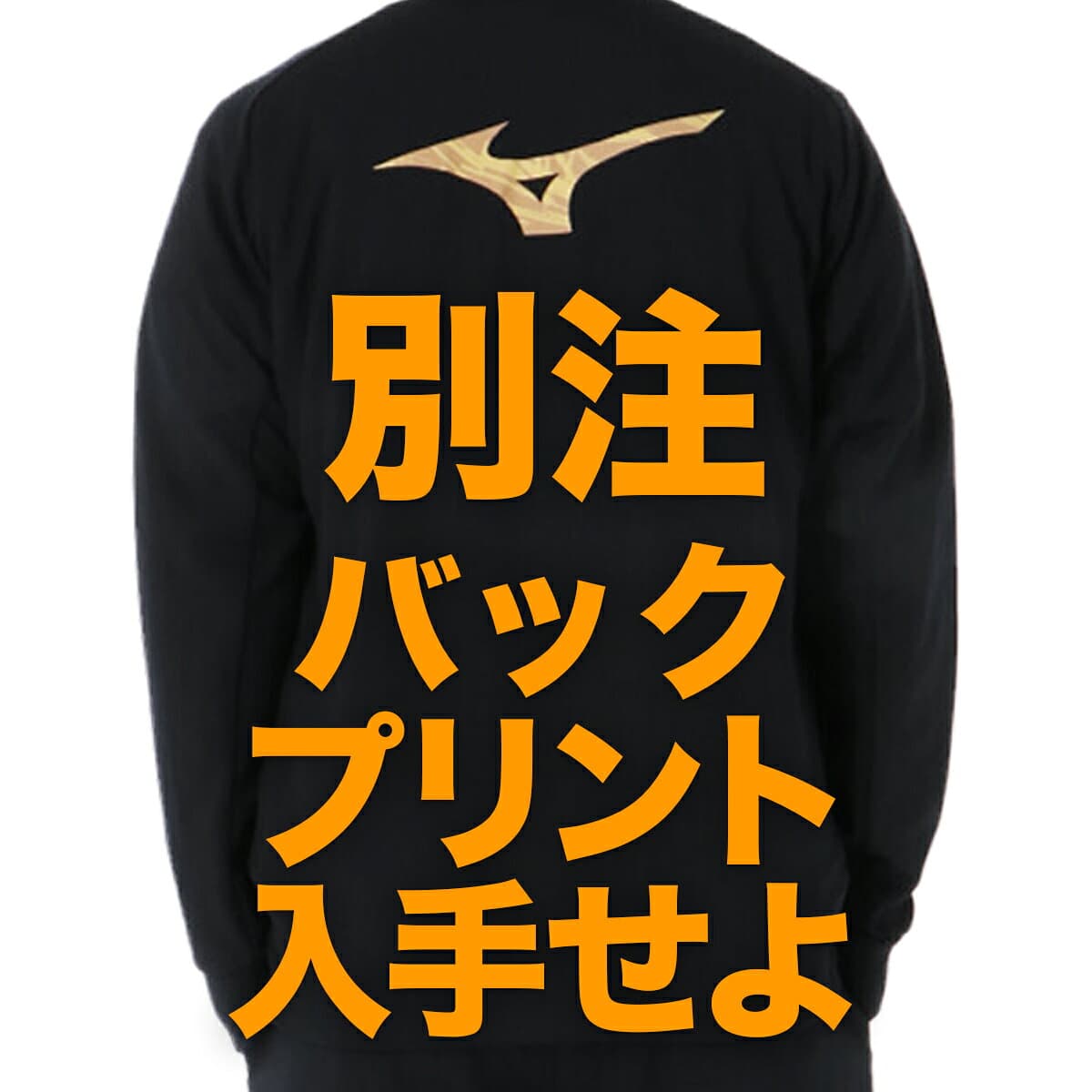 ＼楽天1位！／ ミズノ ジャージ 上下 メンズ セットアップ ジャージ上下 バックプリント付き フルジップ 速乾 吸水 吸汗 ドライ 黒 トラックスーツ ブランド Mizuno 32JGC570 タケスポ限定 上下セット 大きいサイズ 有 スポーツウェア トレーニングウェア thumbnail 3
