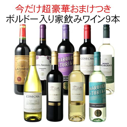 【送料無料】ワインセット 家飲み ワイン 9本 セット ボルドー入 赤ワイン 白ワイン デイリーワイン 飲み比べ パーティー おうちで満喫 ギフト 御祝 誕生日 結婚祝い 第112弾【Pup】