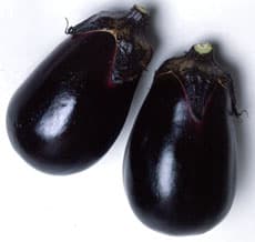 丸種 ナス 水の匠　1000粒