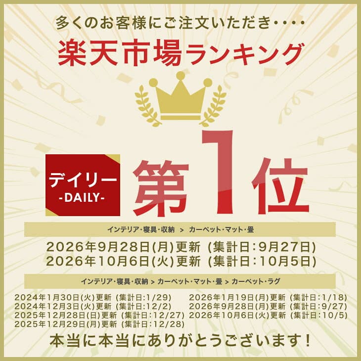 【目玉価格！更に5%引クーポン】 楽天1位 高反発 ラグ 厚手 【防音＆クッション性UP】 極厚 25mm フランネル 防音 滑り止め 1畳 1.5畳 2畳 3畳 4畳 マイクロファイバー ラグマット カーペット 90×180 130×185 185×185 200×250 200×300 ホットカーペット対応 thumbnail 2