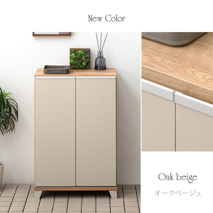 国産 完成品 シューズボックス 幅60 5段 消臭・脱臭機能付 *ピタゴラス-TG* 薄型 ロータイプ 大川家具 スリム 洗える 木製 日本製 下駄箱 収納 靴入れ 靴箱 棚 玄関収納 下足箱 靴収納 シューズラック 幅60cm シンプル ブラウン ホワイト thumbnail 3