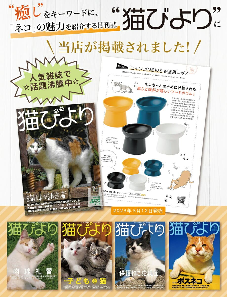 ＼楽天ランキング1位／【獣医師が監修】 猫 食器 フードボウル 吐き戻し防止 犬 ペットボウル ペット食器 餌皿 エサ皿 水飲み 傾斜 斜め 負担軽減 食べやすい 水分補給 陶器 セラミック ペット用 猫用 犬用 ボウル 吐き戻し軽減 吐き戻し ねこ いぬ thumbnail 2
