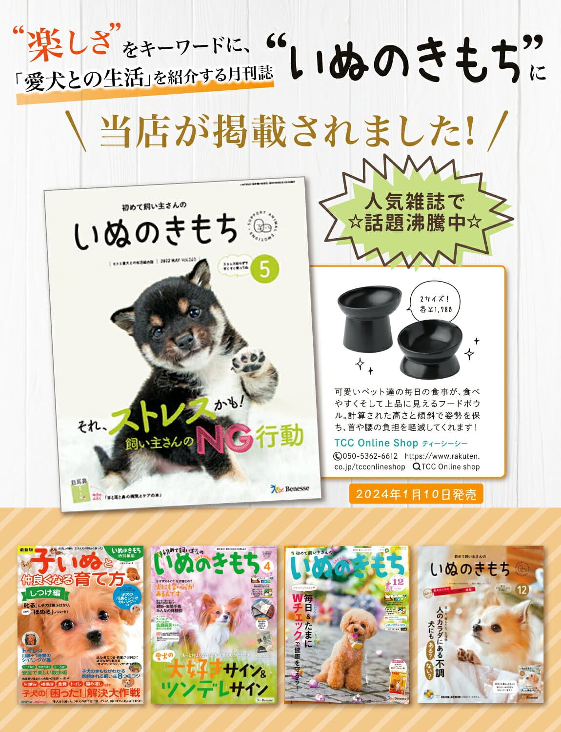 ＼楽天ランキング1位／【獣医師が監修】 猫 食器 フードボウル 吐き戻し防止 犬 ペットボウル ペット食器 餌皿 エサ皿 水飲み 傾斜 斜め 負担軽減 食べやすい 水分補給 陶器 セラミック ペット用 猫用 犬用 ボウル 吐き戻し軽減 吐き戻し ねこ いぬ thumbnail 3