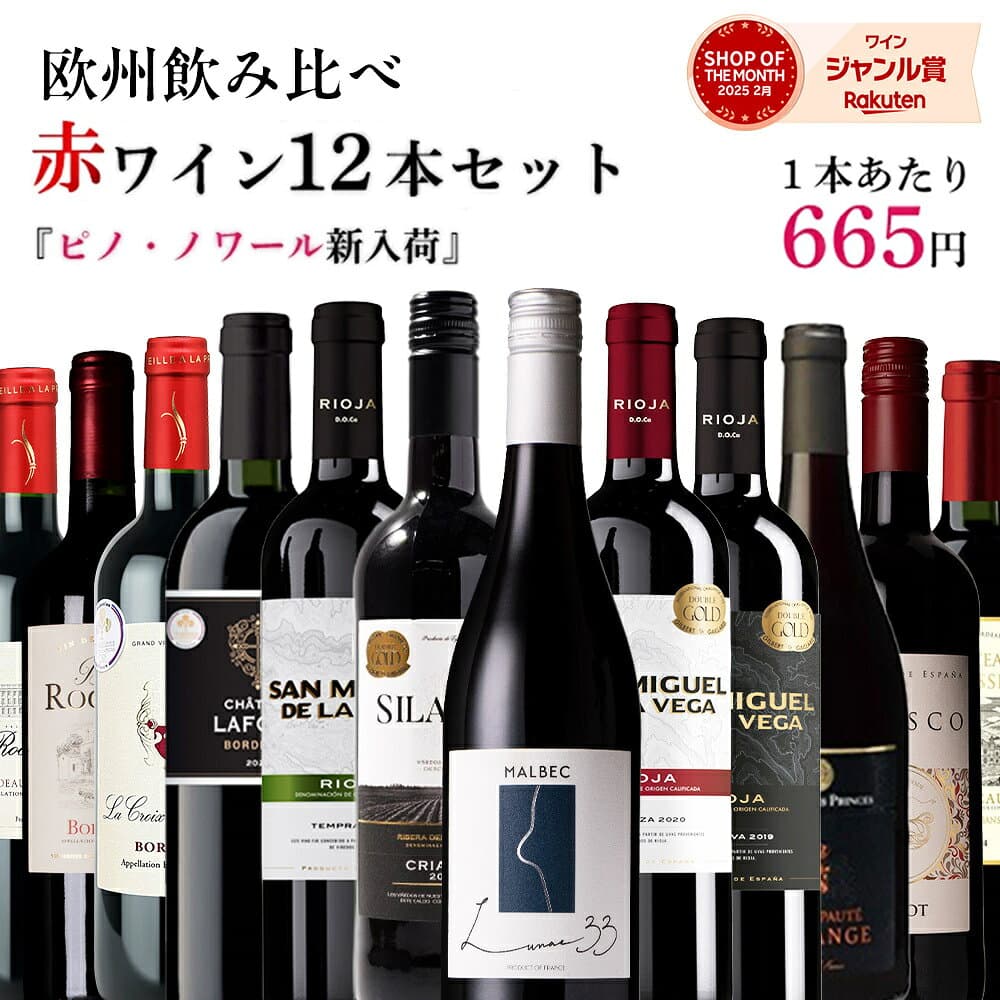 【単品合計価格15,000円超→7,980円】赤ワイン セット 飲み比べ 12本 ワイン 福袋 ヨーロッパ フランス スペイン 欧州セット ボルドー メドック キャンティ ギフト 送料無料 宅飲み アルコール ワインセット 20261004