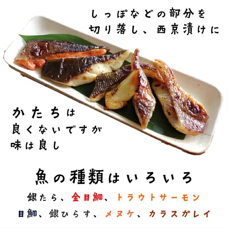 ＼ポイント2倍＆クーポン／訳あり おためし 西京漬け 250g【魚邑 漬け魚切り落とし 小分け250g】焼くだけ 焼き魚 西京漬 味噌漬け 魚 レトルト 3枚おろし 惣菜 おかず つまみ 西京 小分け 冷凍 冷凍食品 セット お弁当 絶品 お取り寄せ グルメ 東北 thumbnail 2