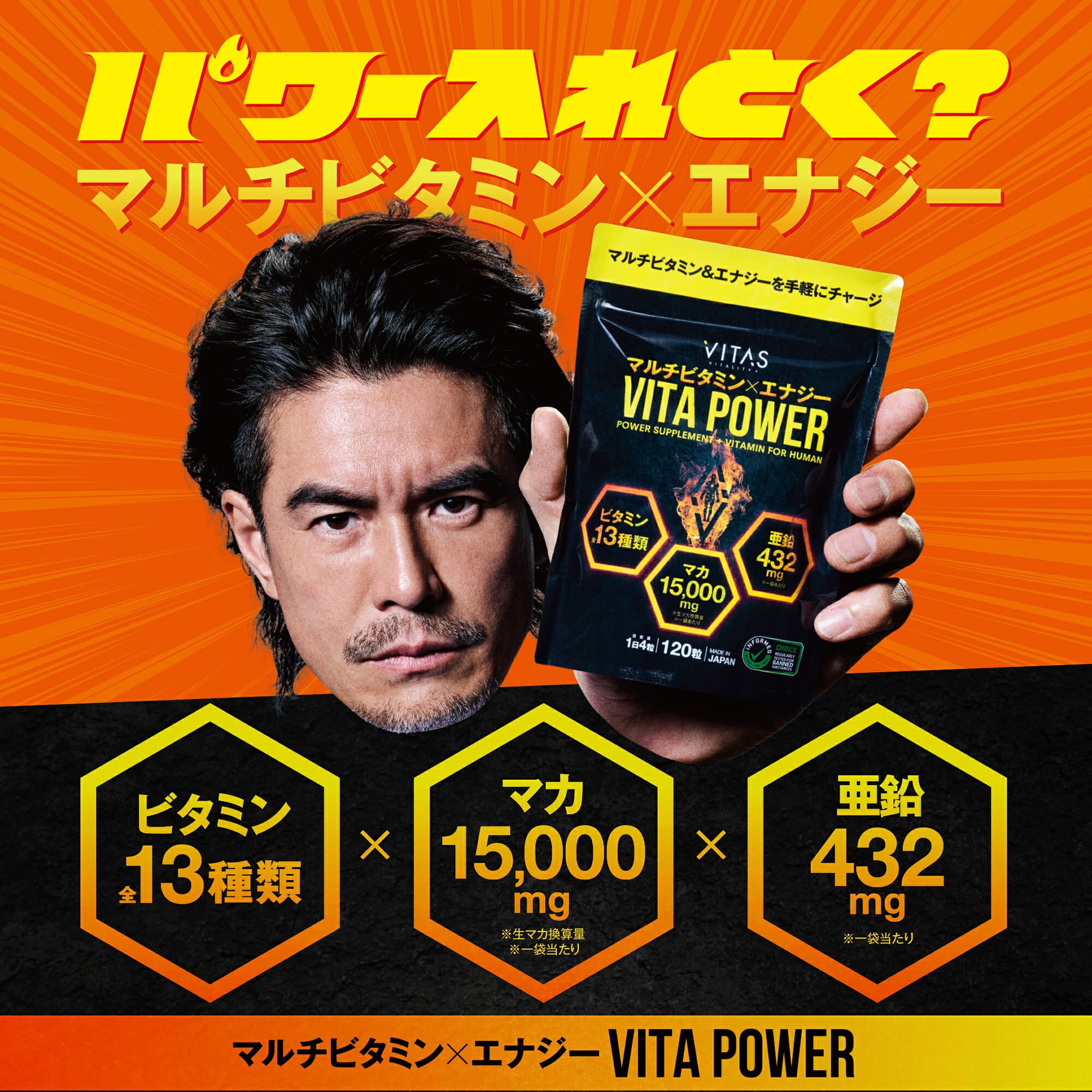 【特価×クーポン】 VITAS マルチビタミン サプリ 120粒 30日分 ビタミンC マカ 亜鉛 サプリメント 13種類 バランス 配合 栄養補助食品 VITAPOWER ビタパワー 男性 筋トレ ボディメイク 健康 食生活 活力 サポート thumbnail 3