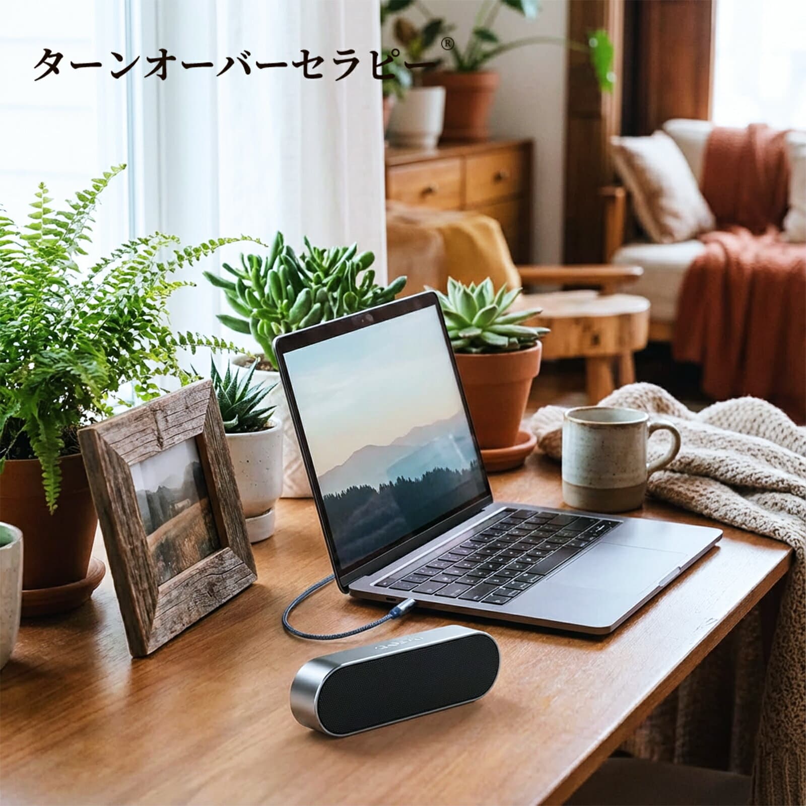 3.5mmミニプラグto6.35mm標準プラグ オーディオステレオ変換ケーブル オス-オス スマホ・パソコン・DVD・ホームシアター対応 3メートル長 ZABI 2026ABI-TOJPZABI