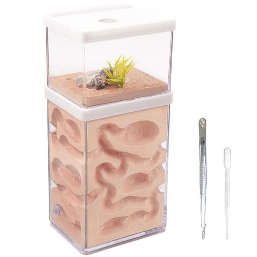 aleawolアリの巣観察キットアリ飼育箱蟻の巣観察キット蟻飼育石膏製巣箱2層式透明なプラスチックアリの巣アリ飼育キット昆虫自由研究生物実験科学実験観察日記自然生物教育玩具用(蟻な…