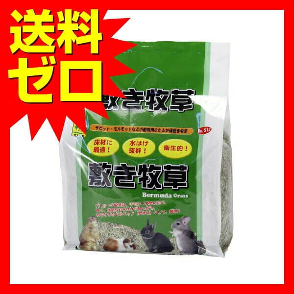 【2個セット】 SANKO バミューダグラス 牧草 うさぎ ウサギ ラビット チモシー 床材 床敷 マット 水はけ 小動物用品 thumbnail 2