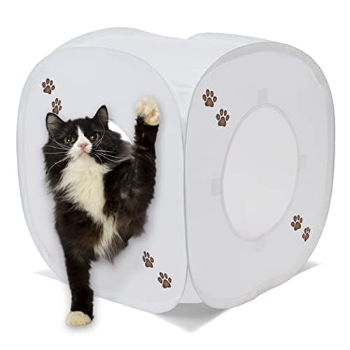 猫壱 キャットプレイキューブ ホワイト 猫のおもちゃ 猫用おもちゃ ペット用品 コンパクト キューブ プレイ トンネル キャット ひとり遊び じゃらし 日本製 おもちゃ ハウス ねこ 猫用玩具 厳選素材 価格は1個のお値段です thumbnail 2