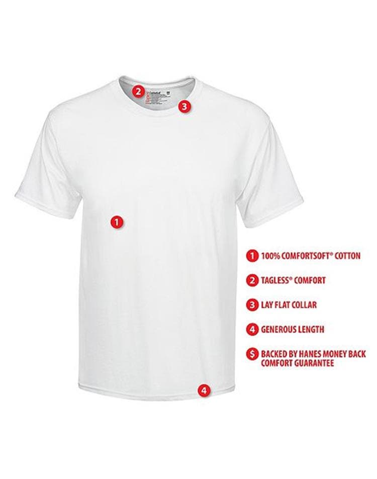 ヘインズ Tシャツ メンズ 2枚組 Hanes 綿100％ 半袖 白 パックT 無地 インナー 肌着 下着 アンダーウエア 定番 人気 ブランド コットン 丈夫 洗濯強い 部屋着 普段使い メンズインナー ビジネス カジュアル フォーマル インナーシャツ 1000円ポッキリ 送料無料 丸首 Vネック thumbnail 2