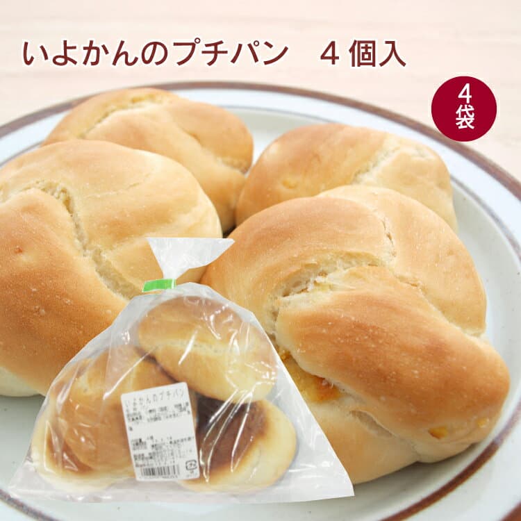 ザクセン いよかんのプチパン 4個入× 4袋　父の日