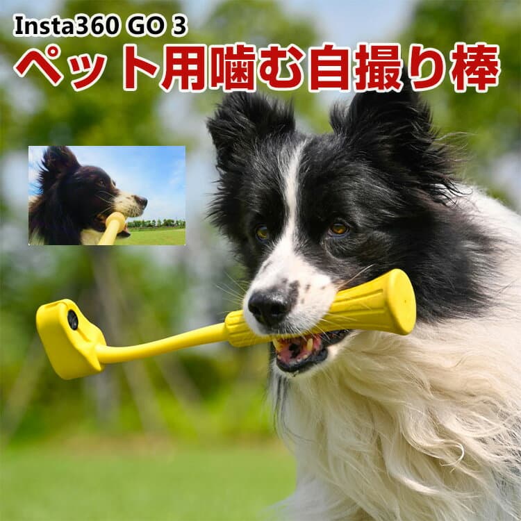 インスタ360 Insta360 GO 3/GO 3S ペット用噛む自撮り棒 食品等級 ゴム材料 完全なパッケージ 耐衝撃 防震