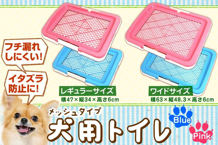 【最大2000円OFFクーポン配布】【足濡れ防止】犬 トイレトレー 幅47cm すのこ付き いたずら防止 トレータイプ レギュラーサイズ いたずら防止 犬用 小型犬 中型犬 トイレ容器 トレー メッシュ しつけ ペット用品 トイレ用品 ペットトイレ 犬用トイレ thumbnail 2