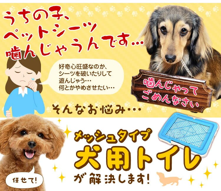 【最大2000円OFFクーポン配布】【足濡れ防止】犬 トイレトレー 幅47cm すのこ付き いたずら防止 トレータイプ レギュラーサイズ いたずら防止 犬用 小型犬 中型犬 トイレ容器 トレー メッシュ しつけ ペット用品 トイレ用品 ペットトイレ 犬用トイレ thumbnail 3