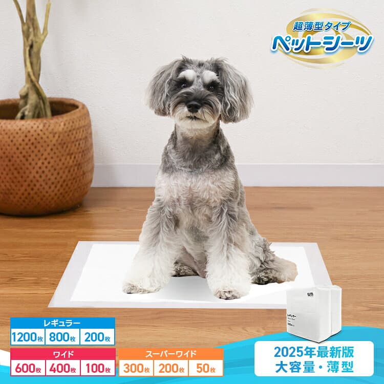 【公式】【リピーター多数！】ペットシーツ 薄型 犬 トイレシート レギュラー 1200枚 800枚 多頭飼い 大容量 まとめ買い ペットシート 薄型ペットシーツ 業務用 ケース ペット用 トイレシーツ おしっこシート 犬 猫 トイレ シーツ シート しっかり吸収 1回使い切り ワイド thumbnail 3